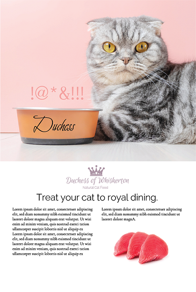 Cat Food Mock Ad/Layout branding graphic design layout