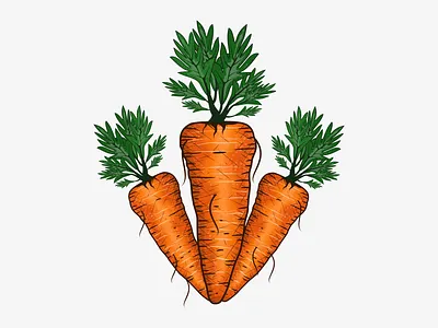 Carrots Illustration branding design graphic design illustration logo vector