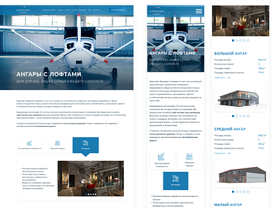 Zavidovo | Website adaptive aero blue branding colorful design designer illustration landing mobile pilot plane typography ui ux web