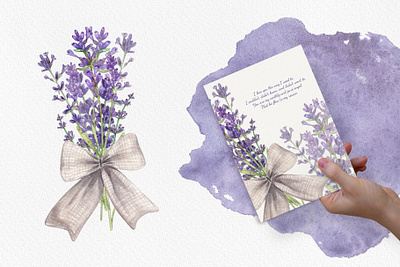 Lavender: Bouquets of Provence artwork botanical branding design graphic design illustration nature