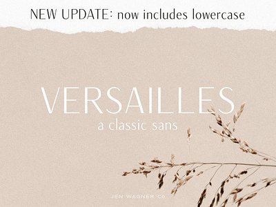 Versailles A Classic Sans branding classic classy instagram jen wagner jen wagner co magazine mid century minimal modern popular print sans serif serif social media thick thin trending trendy versailles web