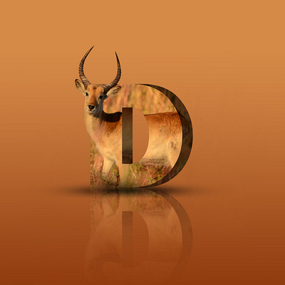 3D LETTER MANIPULATION DESIGN. 3d adobe photoshop graphic design