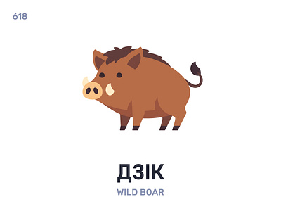 Дзік / Wild boar belarus belarusian language daily flat icon illustration vector