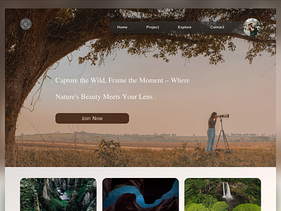 Modern & Minimal Wildlife Photographer Landing Page Design landing page landingpage morderndesign photography portfolio ui ui ux design uiux ux webpage website wildlife