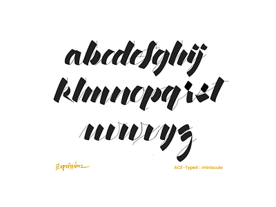 ACE Type 2 - Miniscule ace calligraphy expressionz font typography