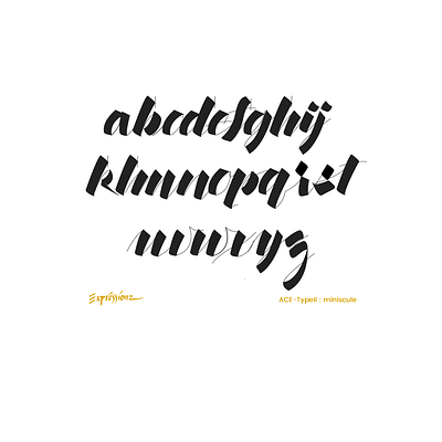 Font Design: ACE Type 2 - Miniscule ace calligraphy expressionz font typography