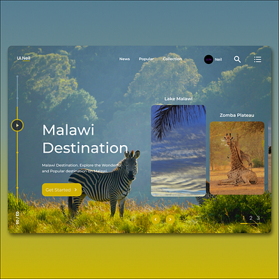 Malawi Web Design 3d animation app appdesign branding design graphic design illustration landing page logo malawi motion graphics ui uidesign ux uxdesign web web design website website design