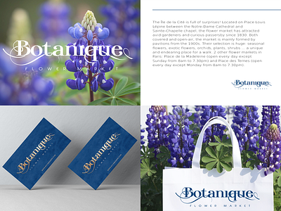 LOGO for BOTANIQUE flower market app branding design graphic design illustration logo typography ui ux vector