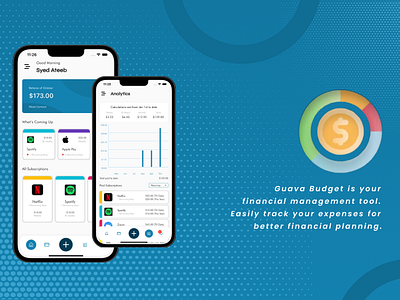 Guava Budget guava app mobileapp mobileappdevelopmentservices vizz vizzappdevelopment vizzmobileapp vizzweb vizzwebsolutions