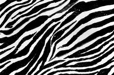 Zebra seamless pattern design graphic design illustration minimal painting pattern procreate texture zebra