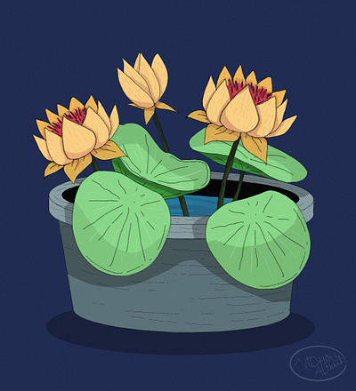 Lotus illustration digital arts graphic design illustration lotus procreate ui