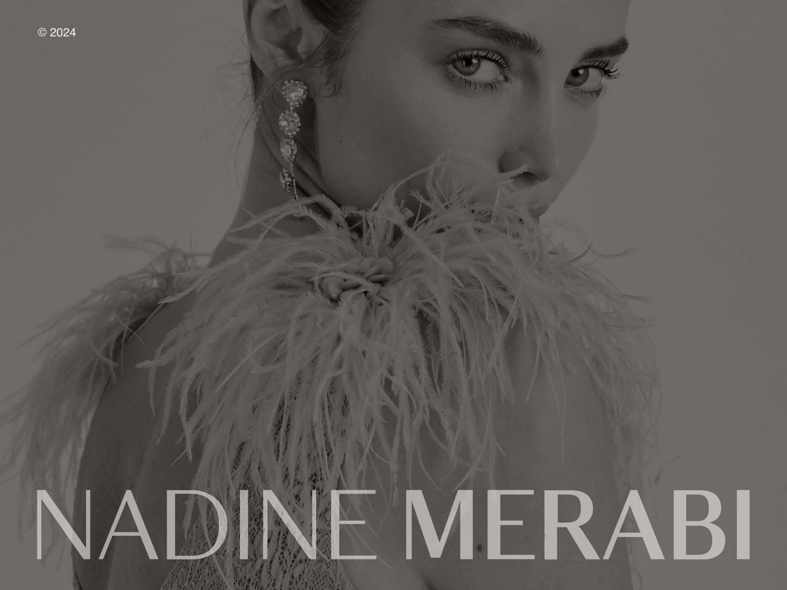 Example of Branding. Logo Design. Premium Branding.