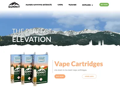 Summit Website branding design ui web design