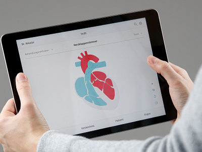 MEX – Interactive application for medical explanations animation design illustration interactive application ipad application medical design ui