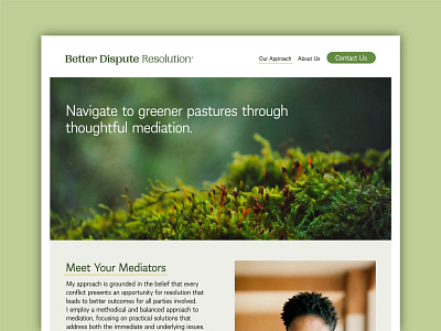 Better Dispute Resolution Website branding design graphic design typography website