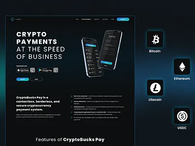 Crypto Payments Website blockchain crypto payments ui ux website