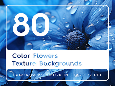 80 Color Flowers Texture Backgrounds background beautiful blooming botanical color color flowers download flora floral floral backgrounds flower flowers flowers backgrounds flowers texture photo texture