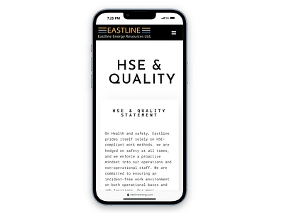 Mobile responsive view of Eastline website HSE page card clean design hse illustration iphone mobile mockup mono presentation quality responsive saas shadow shots ui ux design web white wordpress