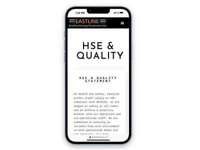 Mobile responsive view of Eastline website HSE page card clean design hse illustration iphone mobile mockup mono presentation quality responsive saas shadow shots ui ux design web white wordpress