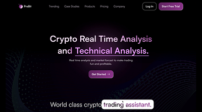 Crypto Analytics Website animatiom blockchain crypto illustration landing page web design web3 website