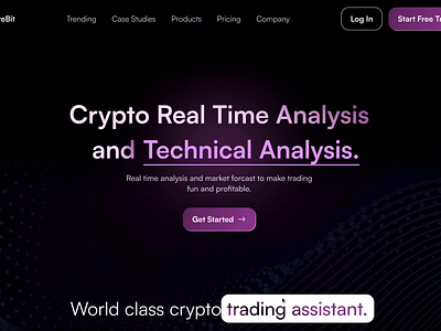 Crypto Analytics Website animatiom blockchain crypto illustration landing page web design web3 website