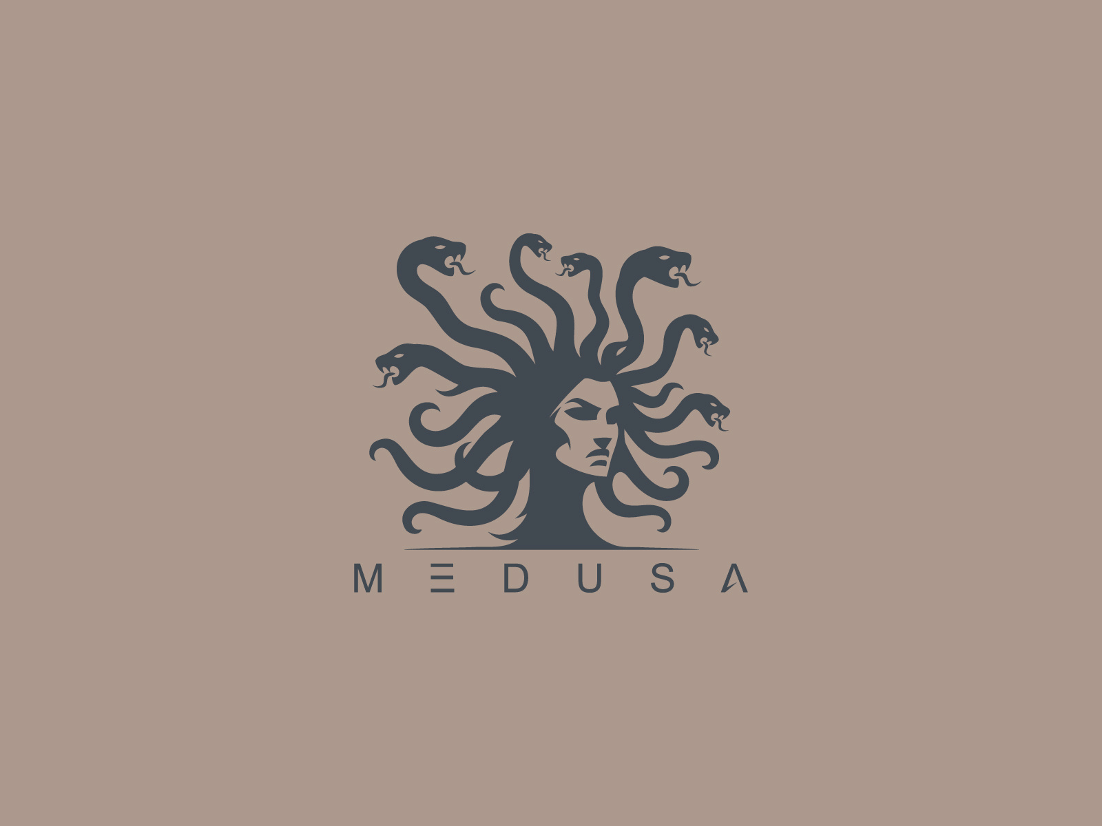 Example of We Will Create Custom Medusa Logo