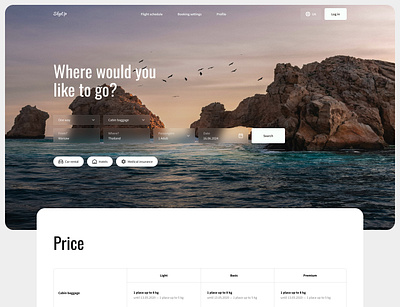 Travel company colors dashboard datatable design travel ui ux web web design