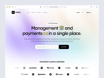 Opako. Fintech Landing Page 💸 finance fintech fintech platform fintech saas fintech startup landing page online banking saas web web design website