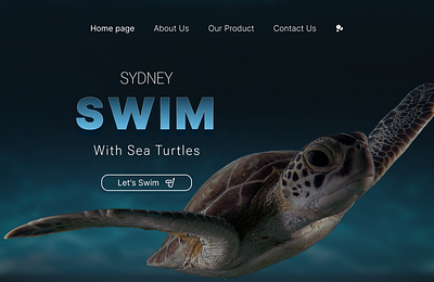 Sydney_web site_design figma graphic design ui web web design