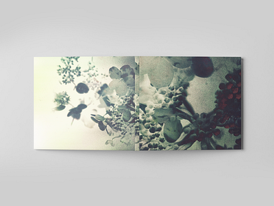 20240827-A2f2b abstract album art album artwork album cover art cd compact disc flowers leaves mockup