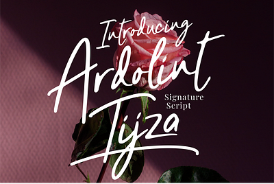 Script Font Ardolint Tijza design font illustration script font signature font typeface typography