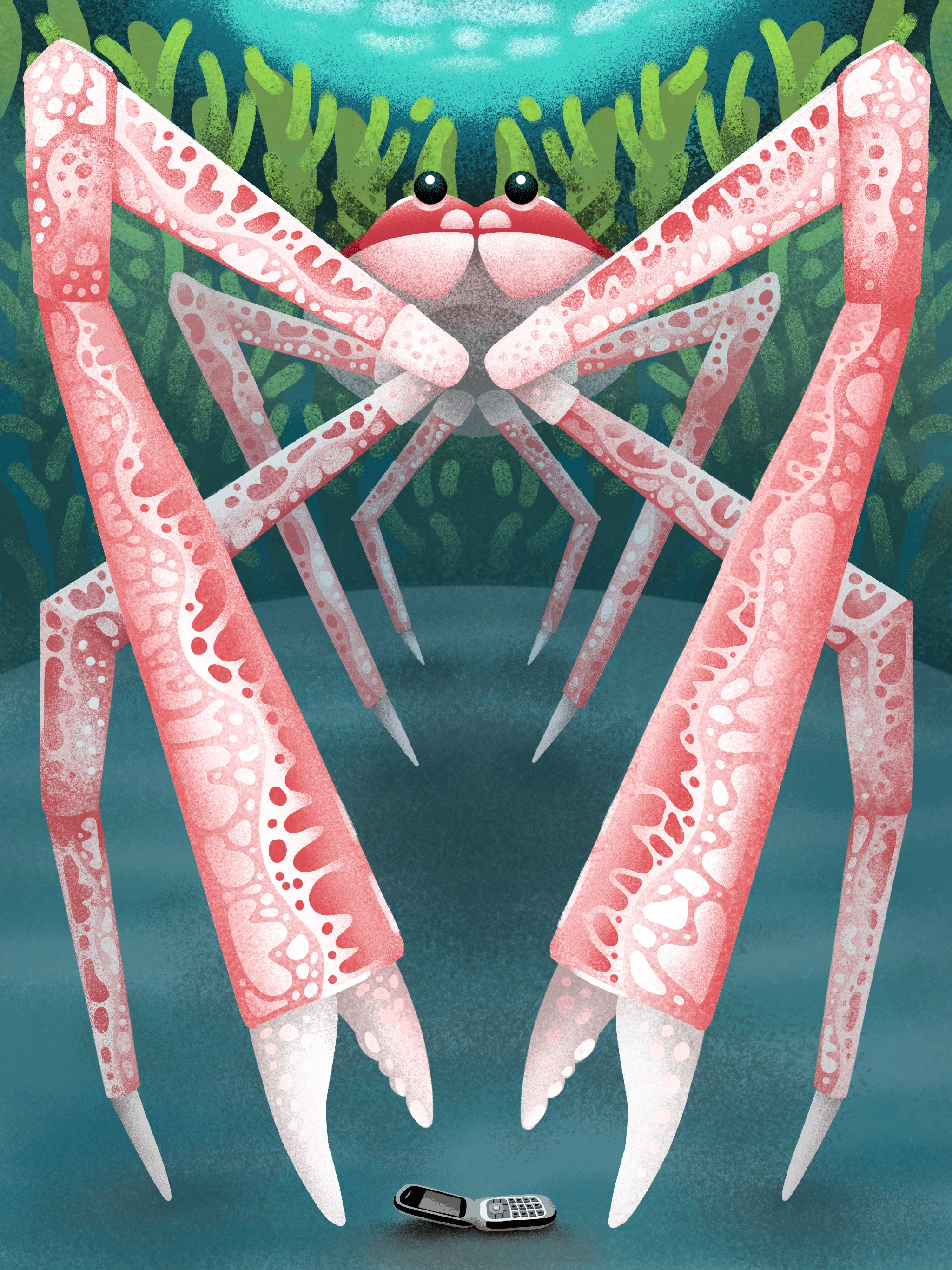 C is for Crab illustration