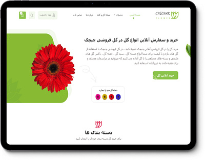 Flower Shop Website : Chichak colorful flower graphic design minimal ui website