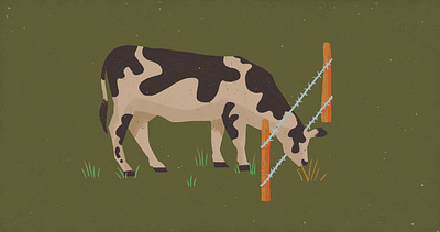 The Grass is Always Greener barbed wire cow fence graphic design grass illustration