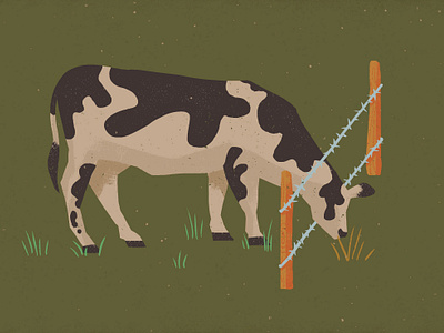 The Grass is Always Greener barbed wire cow fence graphic design grass illustration