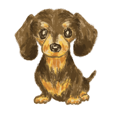 Sitting dachshund animal character dog illustration pet puppy