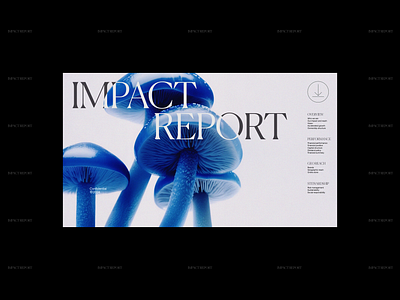 Impact Report front slide for climate tech company | ochi.design climate tech front slide impact report main screen pitch deck powerpoint presentation presentation design report sales deck