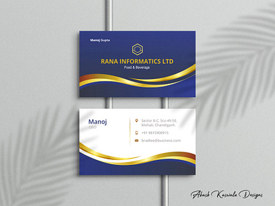 Elegant Business Card Design for Rana Informatics Ltd blue design branding business card card corporate identity custom card design design designer graphic design illustration logo stationery design vector visitng card