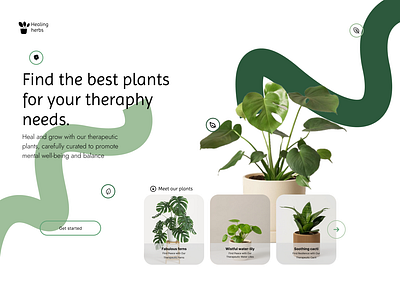 Healing herbs branding design figma illustration ui uiux ux