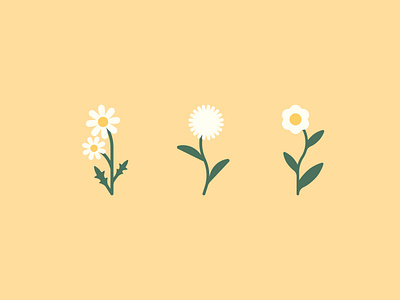 Flowers (part 4) | Illustrations adobe illustrator fleurs fleurs blanches flowers illustration illustrations simple vector vectoriel