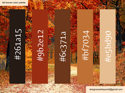 Fall Leaves Color Palette autumn colors autumn leaves black designer brand colors business colors color color inspo color palette fall fall color inspo fall inspo fall leaves graphic design icon designer logo designer start a business woman designer