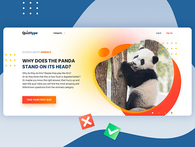 QuizHipe - Online Quiz Website ui ux web design