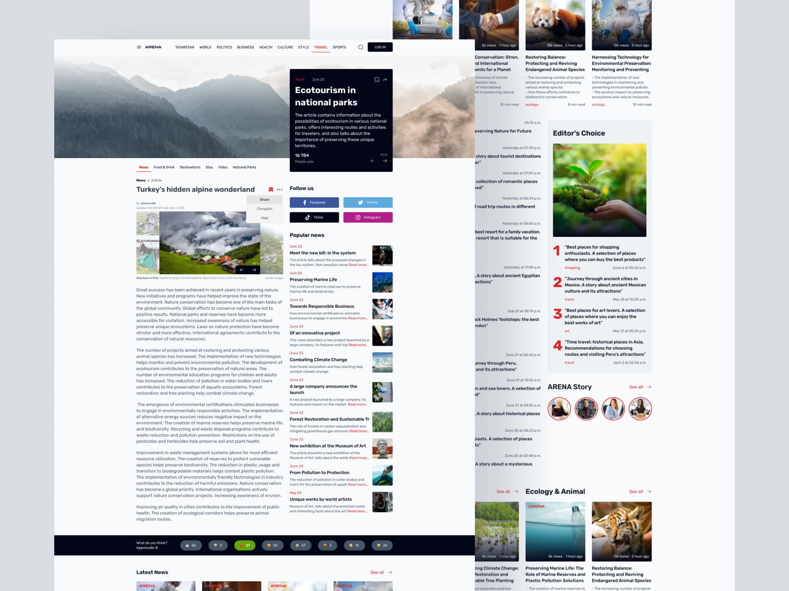Example of ARENA - News Website Concept