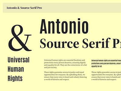 Antonio & Source Serif Pro antonio antonio font brand asset brand book brand guide branding design trends font fontpairing modern serif source serif pro typography visual assets