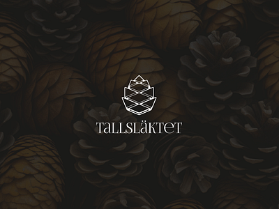 Tallsläktet - Logo Design bohemian bohemian design boho boho design graphic design logo logo design pine cone visual identity