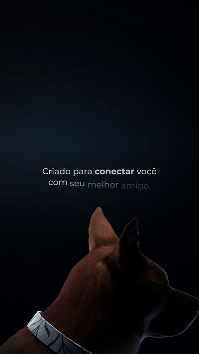 3D smart dog collar | Assobio 3d branding brasil brazil collar dog product smart smartwatch