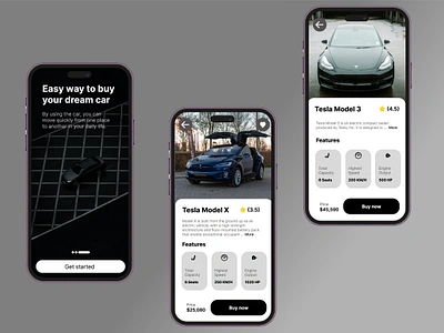 Tesla design prototype graphic design ui