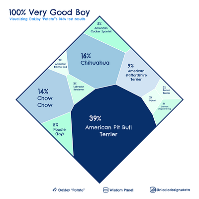 100% Very Good Boy data visualization design graphic design information design