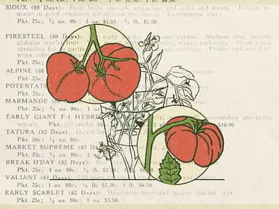 Bounty adventure food food illustration foodillustration foodillustrator garden illustration kitchen nature outdoors retro simple summer tomato tomatoes