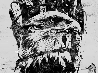 American Eagle Apparel Graphic america apparel distressed eagle grrit t shirt texture worn